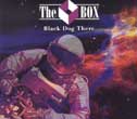 The Box "That Dog There"